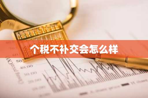 个税不补交会怎么样