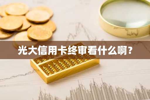 光大信用卡终审看什么啊？