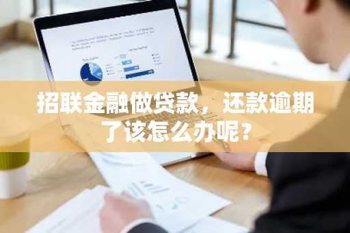 招联金融做贷款，还款逾期了该怎么办呢？