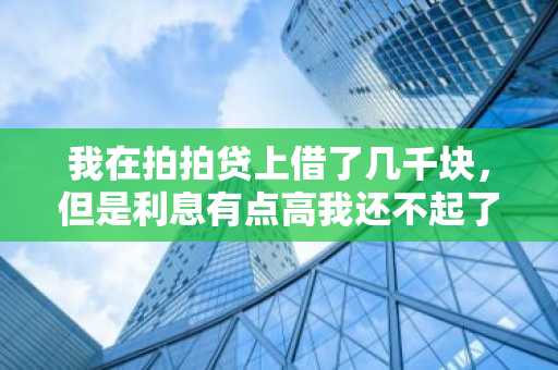 我在拍拍贷上借了几千块，但是利息有点高我还不起了。我想知道不还钱会有什么后果么？