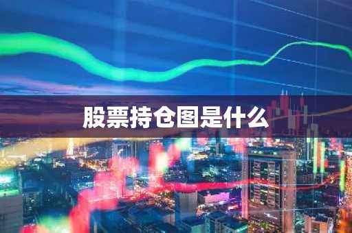 股票持仓图是什么