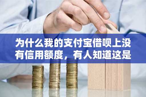 为什么我的支付宝借呗上没有信用额度，有人知道这是什么情况吗？