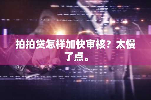 拍拍贷怎样加快审核？太慢了点。