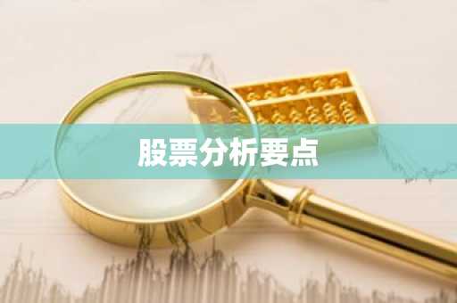 股票分析要点