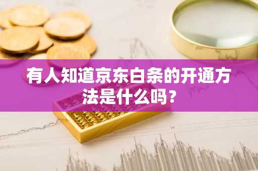有人知道京东白条的开通方法是什么吗？