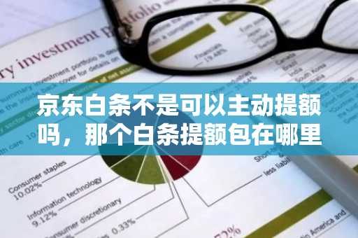 京东白条不是可以主动提额吗，那个白条提额包在哪里？