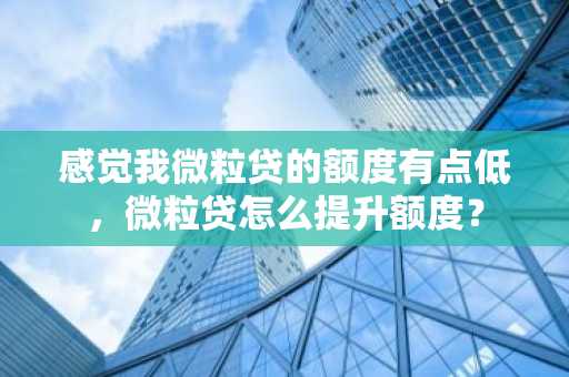感觉我微粒贷的额度有点低，微粒贷怎么提升额度？