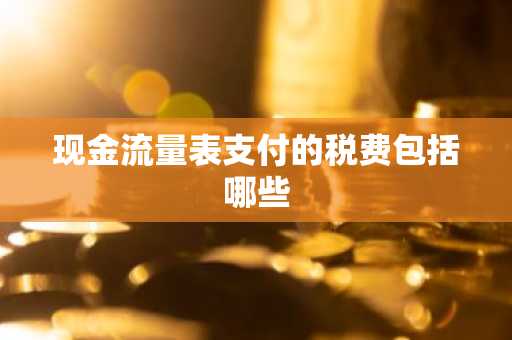 现金流量表支付的税费包括哪些