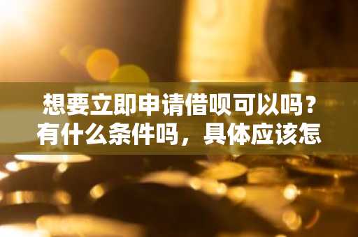 想要立即申请借呗可以吗？有什么条件吗，具体应该怎么做。