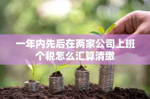 一年内先后在两家公司上班个税怎么汇算清缴