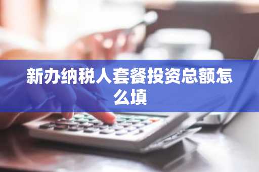新办纳税人套餐投资总额怎么填