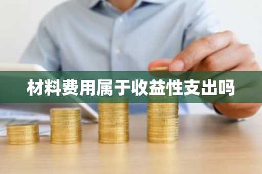 材料费用属于收益性支出吗