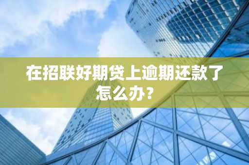 在招联好期贷上逾期还款了怎么办？