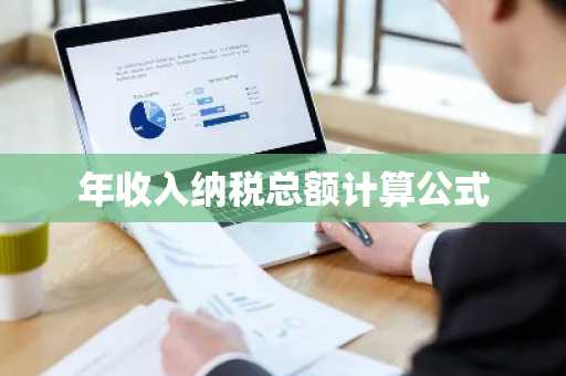 年收入纳税总额计算公式