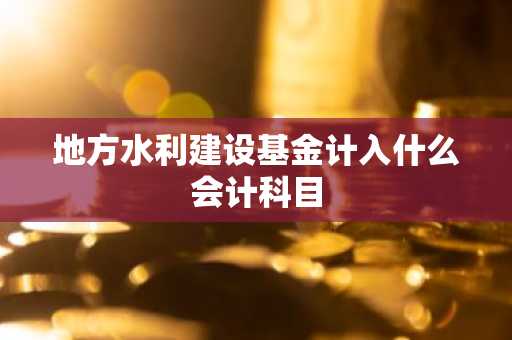 地方水利建设基金计入什么会计科目