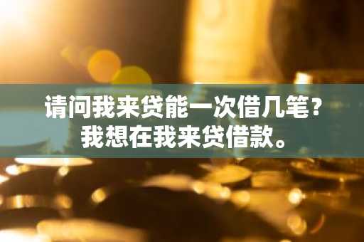 请问我来贷能一次借几笔？我想在我来贷借款。