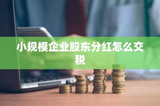 小规模企业股东分红怎么交税