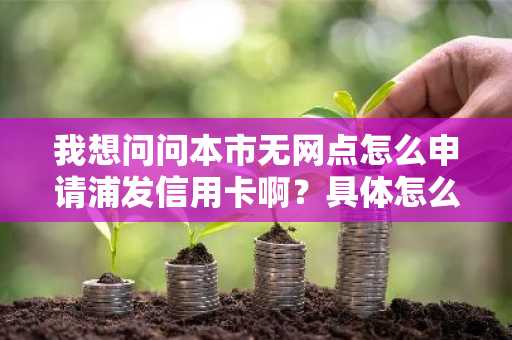 我想问问本市无网点怎么申请浦发信用卡啊？具体怎么操作？