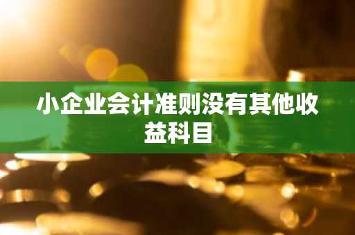 小企业会计准则没有其他收益科目