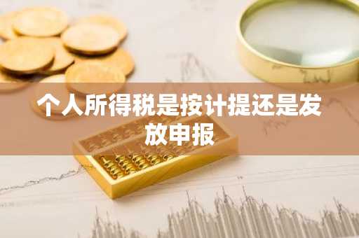 个人所得税是按计提还是发放申报