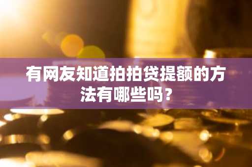 有网友知道拍拍贷提额的方法有哪些吗？