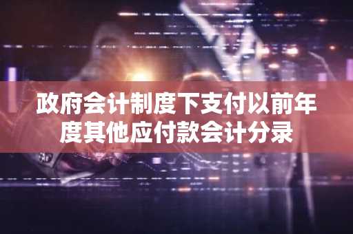 政府会计制度下支付以前年度其他应付款会计分录