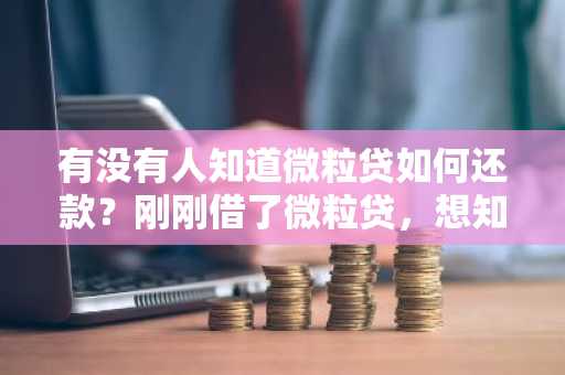 有没有人知道微粒贷如何还款？刚刚借了微粒贷，想知道如何操作。