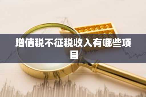 增值税不征税收入有哪些项目