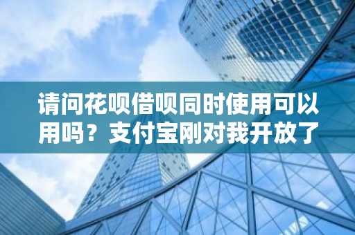 请问花呗借呗同时使用可以用吗？支付宝刚对我开放了蚂蚁借呗服务。