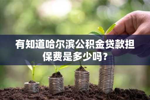 有知道哈尔滨公积金贷款担保费是多少吗？