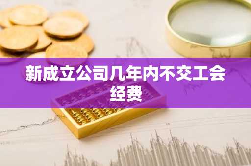 新成立公司几年内不交工会经费