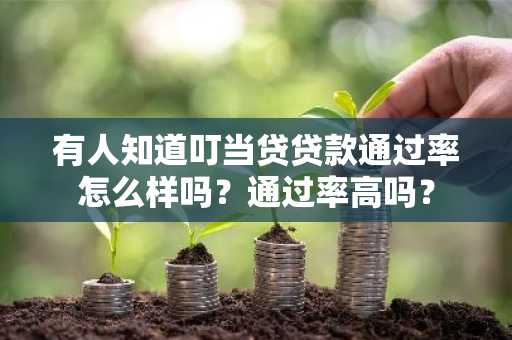 有人知道叮当贷贷款通过率怎么样吗？通过率高吗？