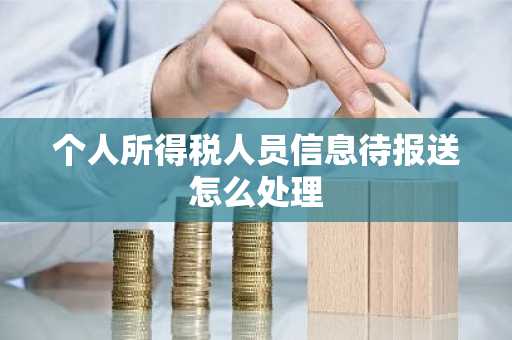 个人所得税人员信息待报送怎么处理