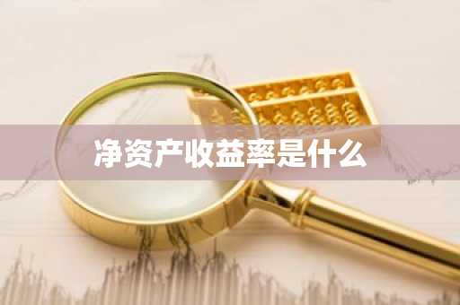净资产收益率是什么