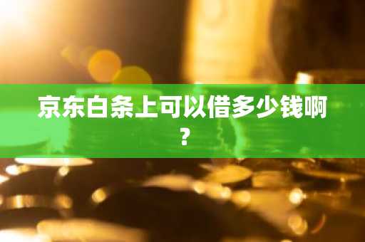 京东白条上可以借多少钱啊？