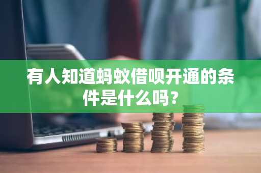 有人知道蚂蚁借呗开通的条件是什么吗？