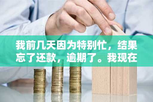 我前几天因为特别忙，结果忘了还款，逾期了。我现在还钱了，还能在手机贷借款么？
