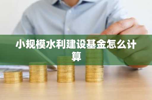 小规模水利建设基金怎么计算
