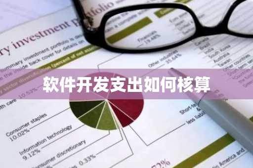 软件开发支出如何核算