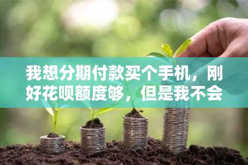 我想分期付款买个手机，刚好花呗额度够，但是我不会用。有人能教教我怎么分期么？