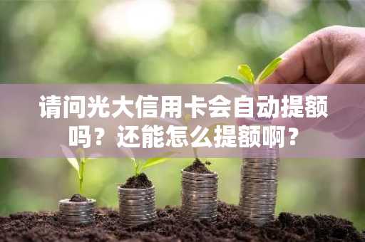 请问光大信用卡会自动提额吗？还能怎么提额啊？