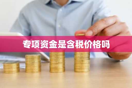 专项资金是含税价格吗