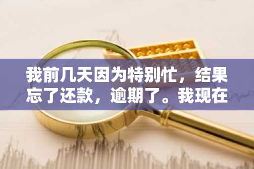 我前几天因为特别忙，结果忘了还款，逾期了。我现在还钱还能在手机贷借款么？