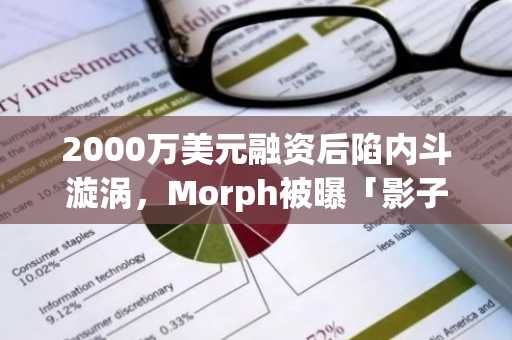 2000万美元融资后陷内斗漩涡，Morph被曝「影子CEO」操控、团队撕裂