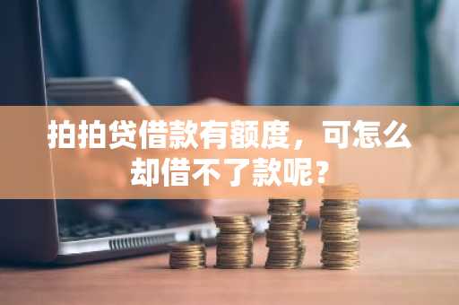 拍拍贷借款有额度，可怎么却借不了款呢？