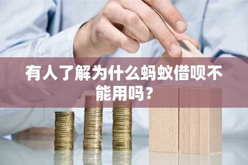 有人了解为什么蚂蚁借呗不能用吗？