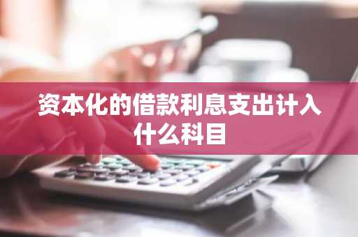 资本化的借款利息支出计入什么科目