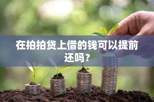 在拍拍贷上借的钱可以提前还吗？