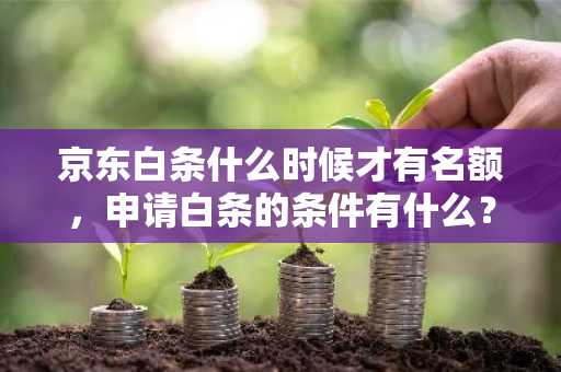 京东白条什么时候才有名额，申请白条的条件有什么？