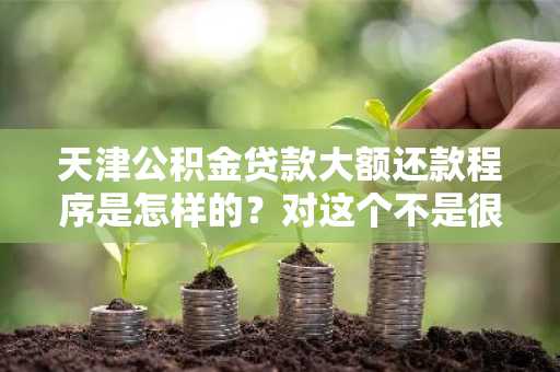 天津公积金贷款大额还款程序是怎样的？对这个不是很了解。